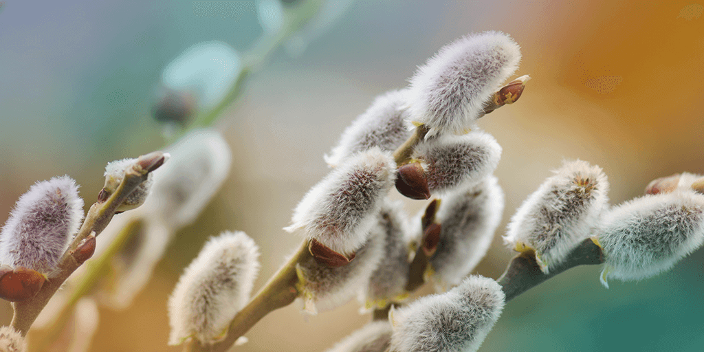 Easter ecommerce: new beginnings