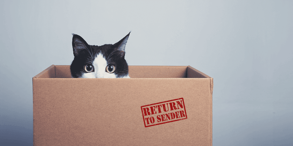 International ecommerce retuns: a cat in box